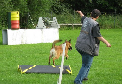 20120717_1290351241_img_4743