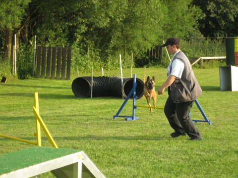 20120717_1313145585_img_4263