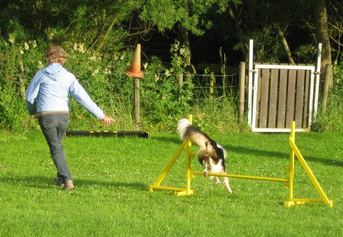 20120717_1564848035_img_4990