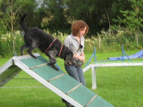20120717_1876293102_img_4949