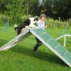 20120717_1438700062_img_4888