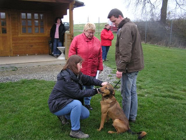 20080410_1023590899_chipkontrollegonzo