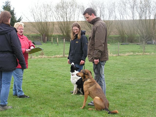 20080410_1298034315_unterordnung2