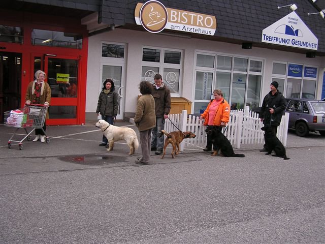 20080410_1461983291_verkehrsteil3
