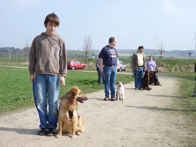 20090412_1256603821_verk-teil8