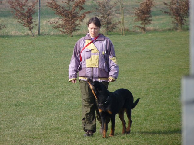 20090412_1393928936_fuss-berryl