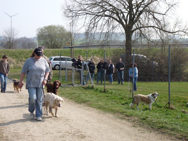 20090412_1468244218_verk-teil6