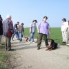 20090412_1496056769_verk-teil5