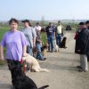 20090412_1497038344_verk-teil3