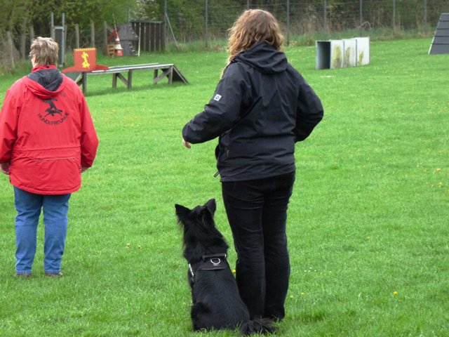 20101123_1377634526_p1040934