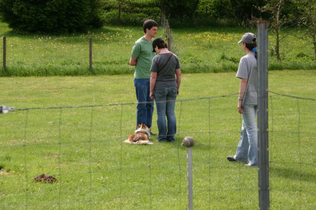 20110731_1346495152_img_5331