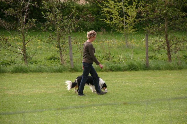 20110731_1466684099_img_5310