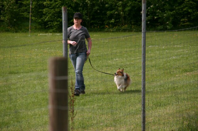 20110731_1839231206_img_5323