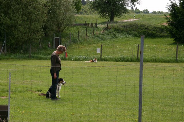 20110731_1867705050_img_5292