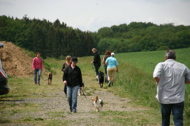 20110801_1731874887_img_5443