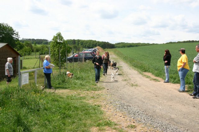 20110801_1764434993_img_5457