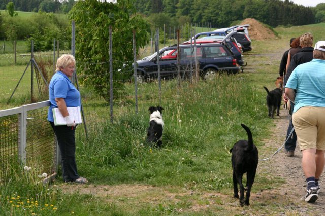 20110801_1929419540_img_5455