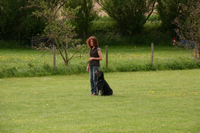 20110801_2070863695_img_5365