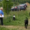 20110801_1929419540_img_5455