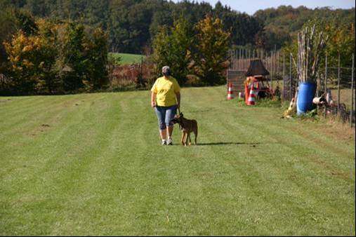 20111016_1537927694_bild34