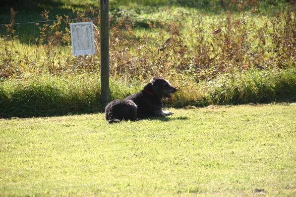 20111016_1985652336_bild35