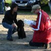 20111016_1284596915_bild5