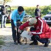 20111016_1969480564_bild12