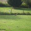 20120901_1062104862_dsci0069