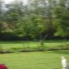 20120901_1580389146_dsci0092