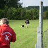 20120901_1728174870_dsci0070