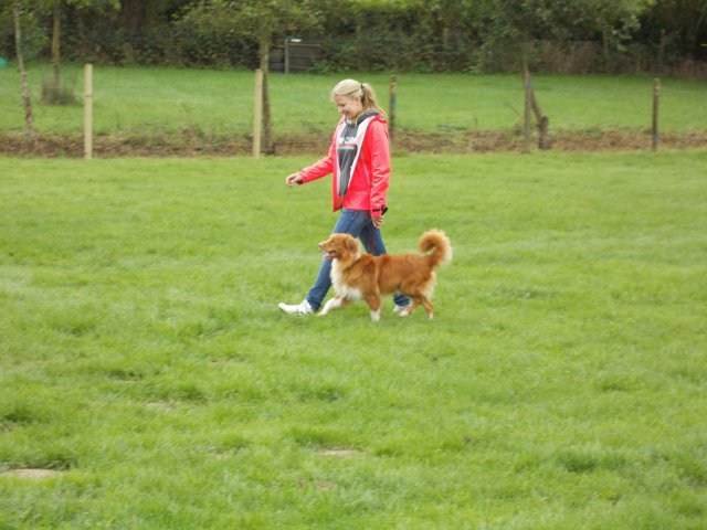 20141005_1116131562_k-dscn0423
