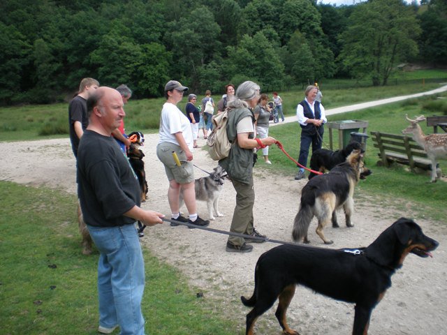 20080716_1802659178_p6210077-klein