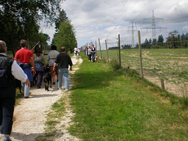 20080716_1843862841_p6210083-klein