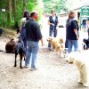 20080706_1221506120_img_0336_klein