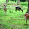 20080706_1274156604_img_0353_klein