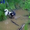 20080706_1476157952_img_0371_klein