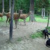 20080706_1665668169_img_0349_klein