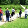20080706_1742977187_img_0362_klein