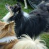 20140525_1821473628_jahresauftakt2014reduziert_14