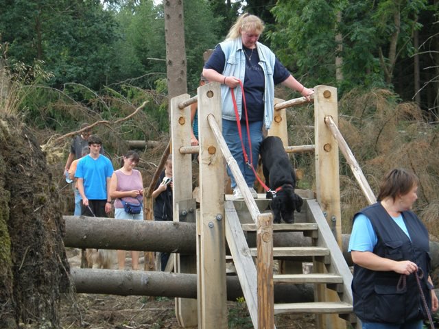 20080824_1081276084_kyrill006
