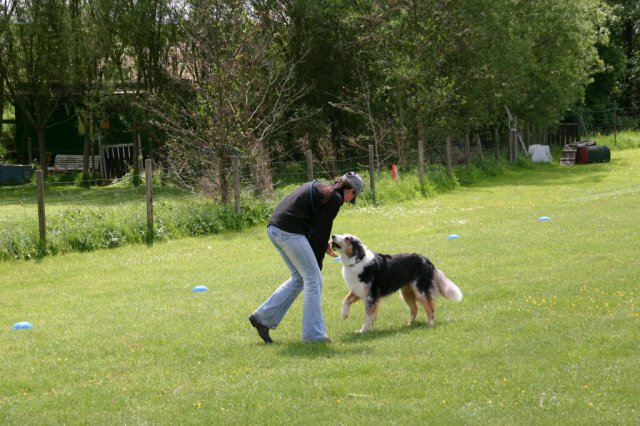 20110801_1941611263_img_5523