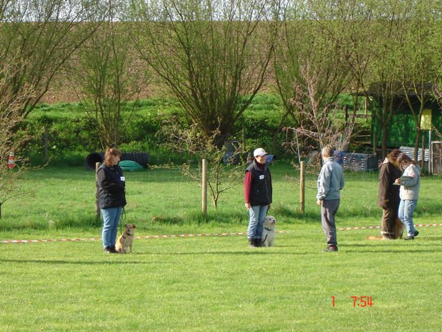 20080502_1221356787_klasse1gruppe2