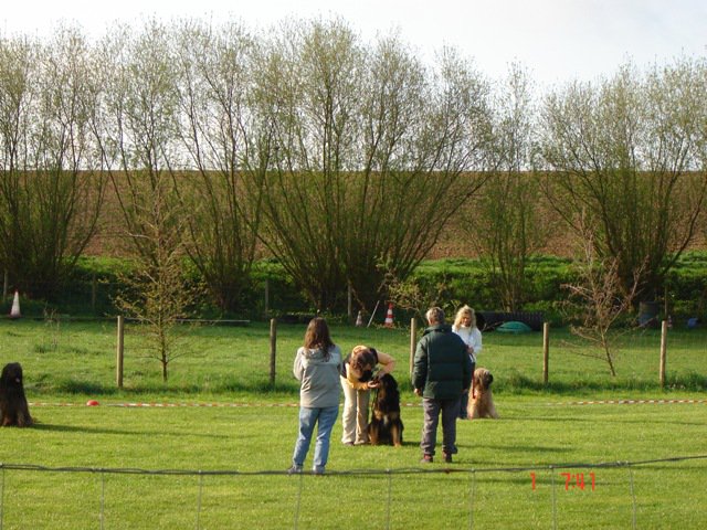 20080502_1726367505_zaehnezeigen