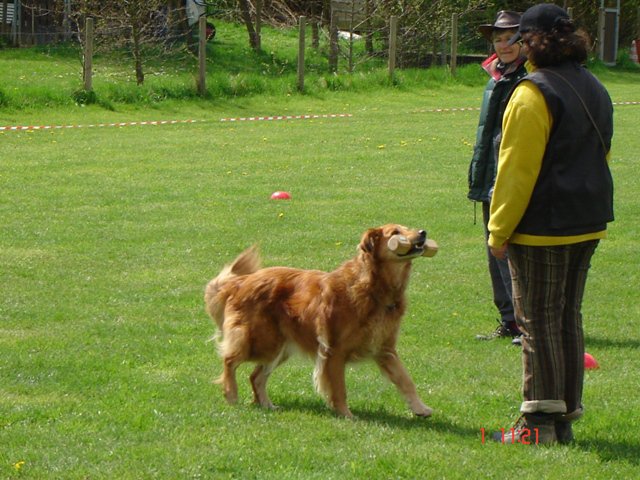 20080502_2005433427_elsaapport
