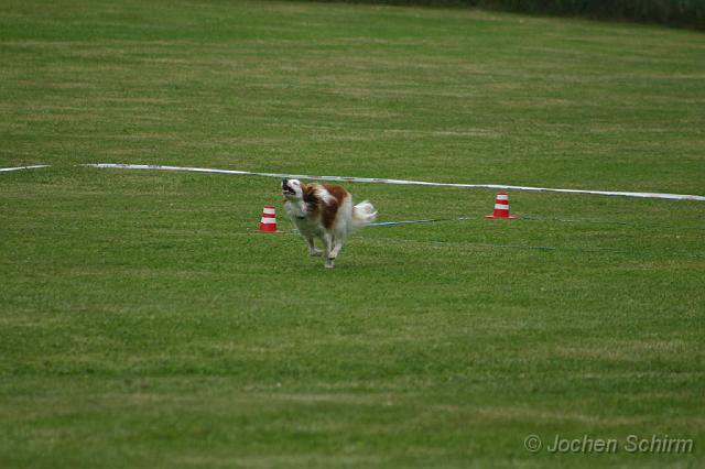 20080613_1533733590_marie-galopp