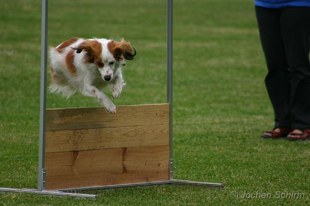 20080613_1734678661_marie-huerde