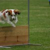 20080613_1734678661_marie-huerde