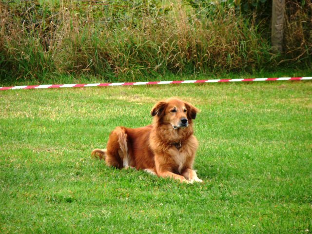 20090926_1045130734_030