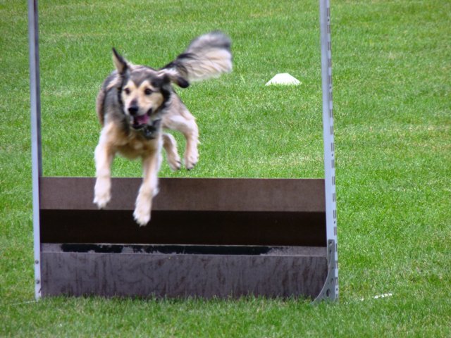 20090926_1137263998_085