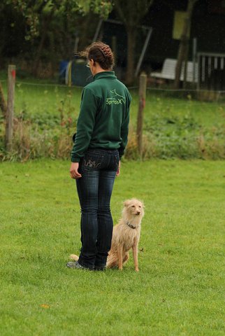 20121024_1696716904_comp_img_0447